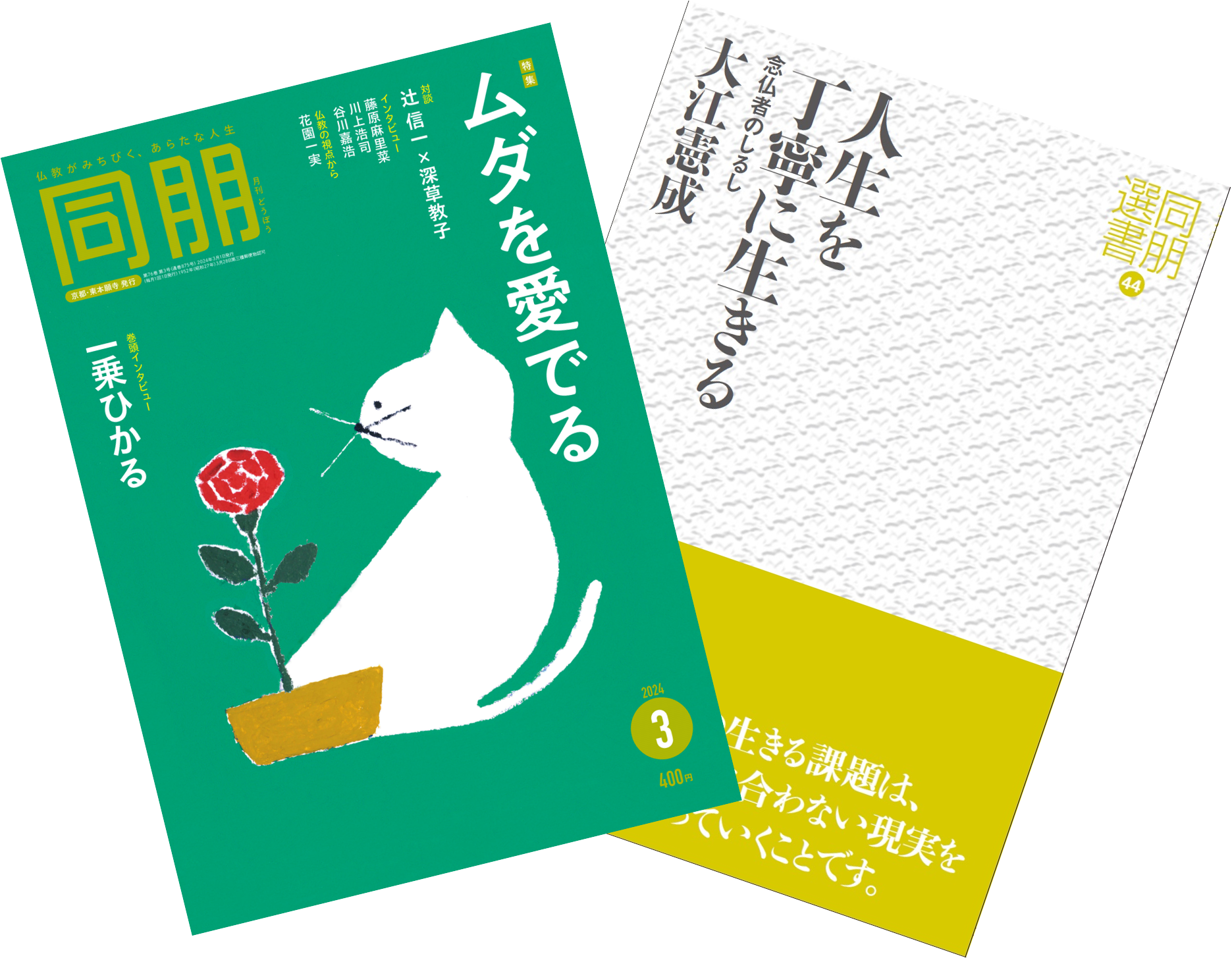 「同朋」と付く書籍