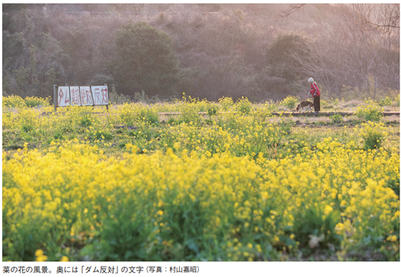 菜の花の風景 菜の花の風景