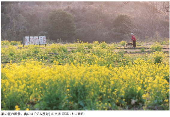 菜の花の風景