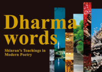 Dharma words書影 Dharma words書影